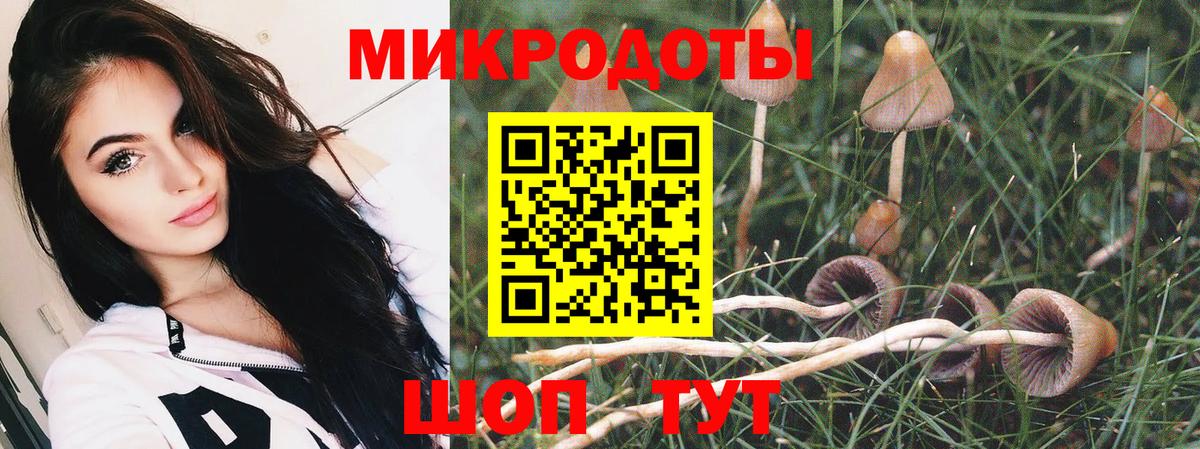 Псилоцибиновые грибы GOLDEN TEACHER Краснодар
