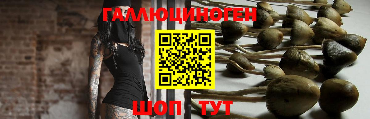 Галлюциногенные грибы Psilocybe  Вход с VPN  где продают   Краснодар 